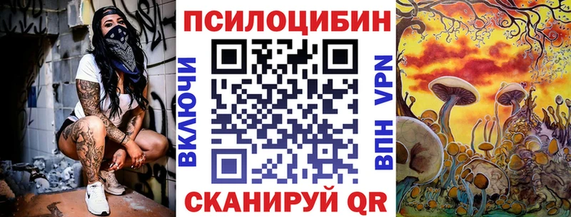 mega рабочий сайт  где продают   Злынка  Галлюциногенные грибы мухоморы 